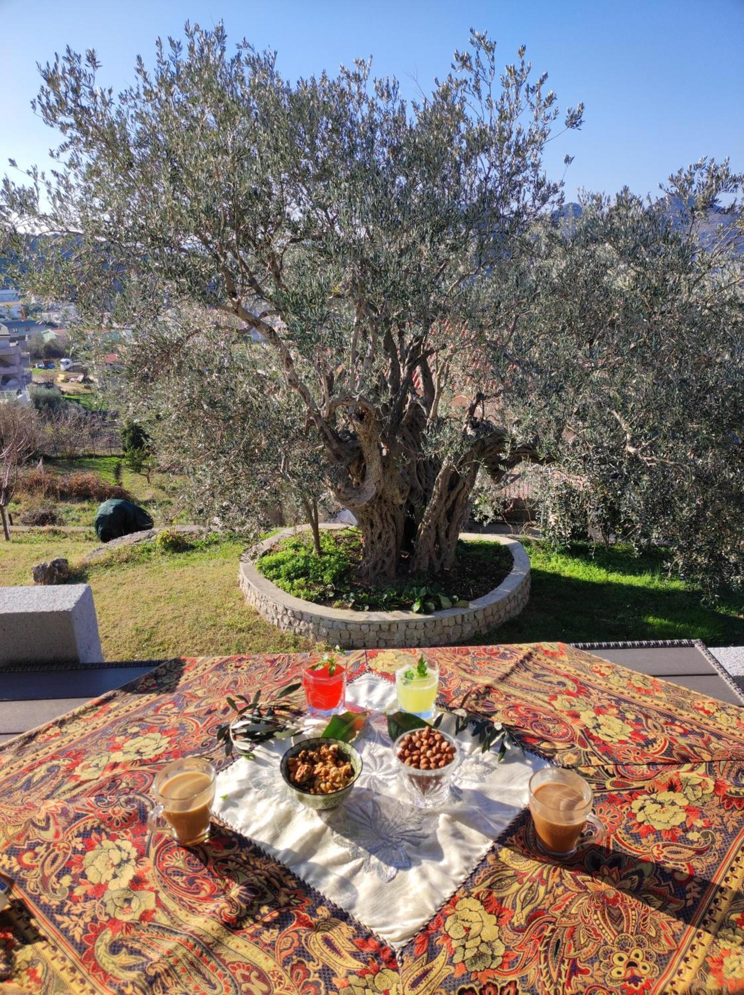 הוילה באר Zelena Maslina מראה חיצוני תמונה